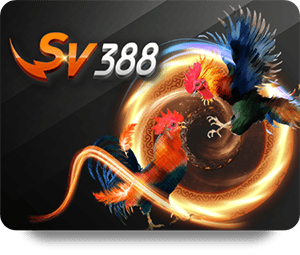 Chiến Thuật Chơi Game Bài Đổi Thưởng Thắng Lớn